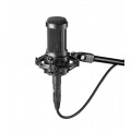 Audio-Technica AT2050