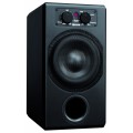 ADAM Sub7