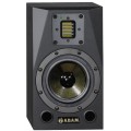 ADAM S1A