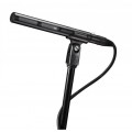 Audio-Technica Микрофон-пушка AT875R