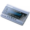 BOSS Micro BR