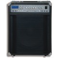 Rocktron Bass 200