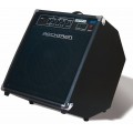 Rocktron Rampage Bass 30